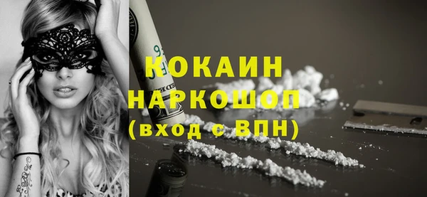 прущие грибы Елабуга