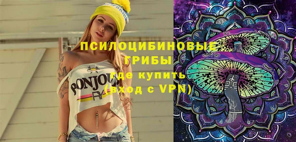 прущие грибы Елабуга
