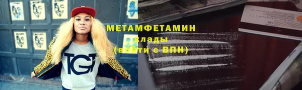 прущие грибы Елабуга