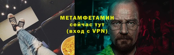 прущие грибы Елабуга