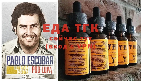 прущие грибы Елабуга
