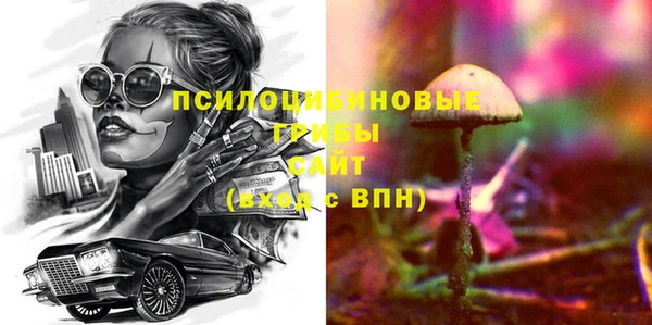 прущие грибы Елабуга