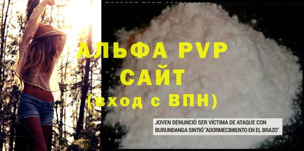 прущие грибы Елабуга